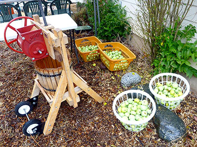 Apple Festival